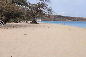 Beautiful 1-bed Apartment in Saint George's