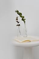 Villa Aronia Kastraki Naxos