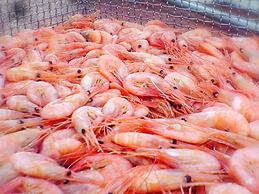 12 Person Holiday Home in Lysekil-by Traum