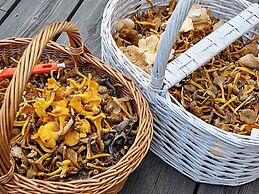 8 Person Holiday Home in Lycksele-by Traum