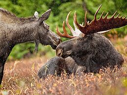 8 Person Holiday Home in Lycksele-by Traum