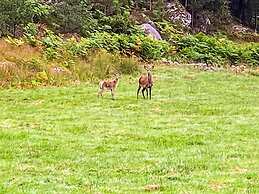 4 Person Holiday Home in Reksteren-by Traum