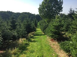 4 Person Holiday Home in Odder