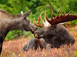 5 Person Holiday Home in Tegefjall