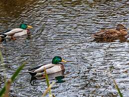 22 Person Holiday Home in Vaeggerlose