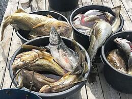 6 Person Holiday Home in Kverva