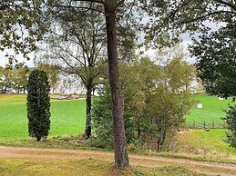 4 Person Holiday Home in Holsljunga-by Traum