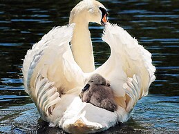 3 Person Holiday Home in Henan-by Traum