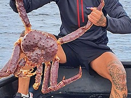 7 Person Holiday Home in Jarfjord-by Traum