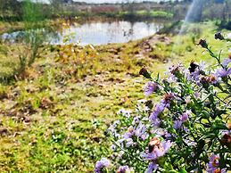 8 Person Holiday Home in Ulfborg