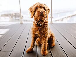 6 Personen Ferienhaus in Wendtorf