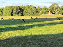 4 Person Holiday Home in Hogsjo-by Traum