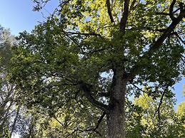 4 Person Holiday Home in Hogsjo-by Traum