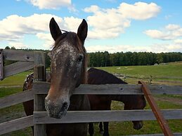 4 Person Holiday Home in Hogsjo-by Traum