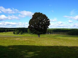 4 Person Holiday Home in Hogsjo-by Traum