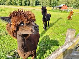 4 Person Holiday Home in Hogsjo-by Traum