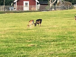 4 Person Holiday Home in Hogsjo-by Traum