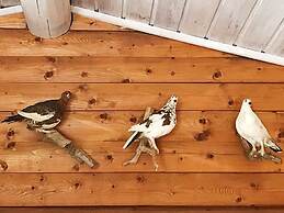 6 Person Holiday Home in Rendalen-by Traum