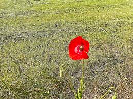 5 Person Holiday Home in Loderup-by Traum