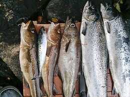 6 Person Holiday Home in Lonevag-by Traum