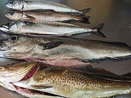 6 Person Holiday Home in Lonevag-by Traum