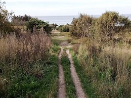 6 Person Holiday Home in Graested-by Traum