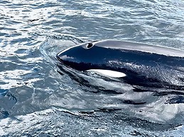 7 Person Holiday Home in Huglo-by Traum