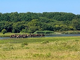 6 Person Holiday Home in Bagenkop-by Traum