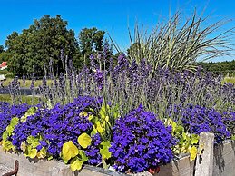 4 Person Holiday Home in Ellos-by Traum