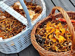 7 Person Holiday Home in Oxaback-by Traum