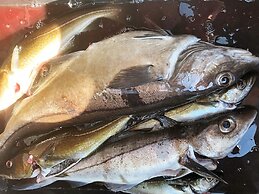 6 Person Holiday Home in Byrknesoy-by Traum