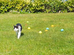 7 Person Holiday Home in Aabenraa