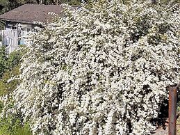 2 Person Holiday Home in Ingaro