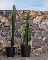 Kaktus Suites Private Pool