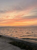 Atoq Paracas Reserva