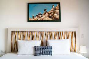 Atoq Paracas Reserva