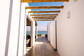 Atoq Paracas Reserva