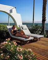 Atoq Paracas Reserva