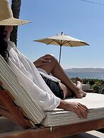 Atoq Paracas Reserva