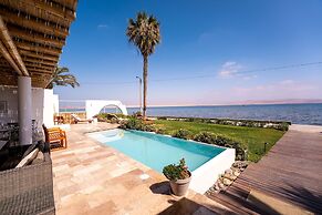 Atoq Paracas Reserva