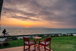 Atoq Paracas Reserva