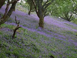 Tranquil 3-bed Cottage Near Lake Vyrnwy
