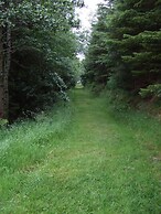 Tranquil 3-bed Cottage Near Lake Vyrnwy