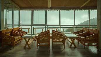 The Royals Apricot Garden