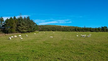 Wynford Holiday Cottages