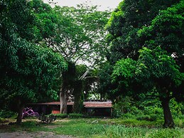 Planta Glamp Farm