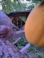 Planta Glamp Farm