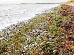 6 Person Holiday Home in Rodby