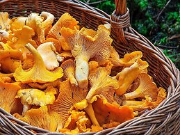 7 Person Holiday Home in Algaras-by Traum