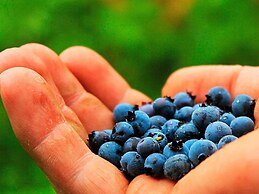 7 Person Holiday Home in Algaras-by Traum